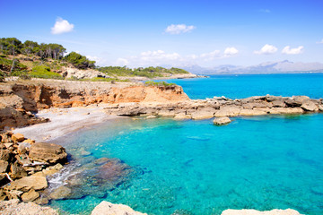 Alcudia in Mallorca la Victoria turquoise beach - obrazy, fototapety, plakaty