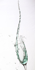 Splashing fresh shampagne