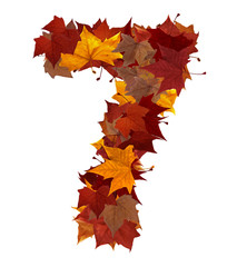 Number seven multicolored fall leaf composition isolated