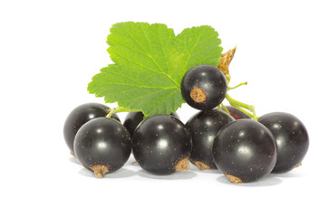 currant fruits