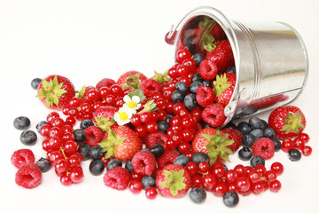 Beeren-Mischung