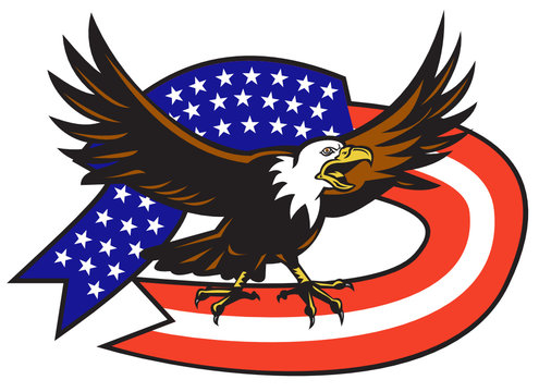 American Bald Eagle flying stars and stripes flag