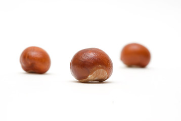 Conkers isolated on white background