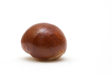Conker isolated on white background