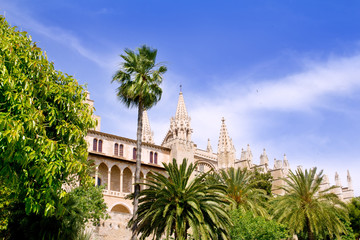 Fototapeta na wymiar Cathedral of Majorca La seu from Palma de Mallorca