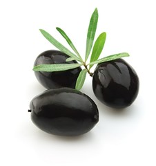 olive branch with leafs
