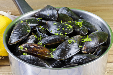 Moule