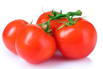Beautiful fresh tomatoes isolated on white