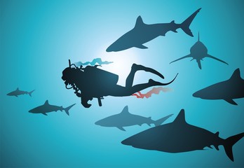 The diver and sharks