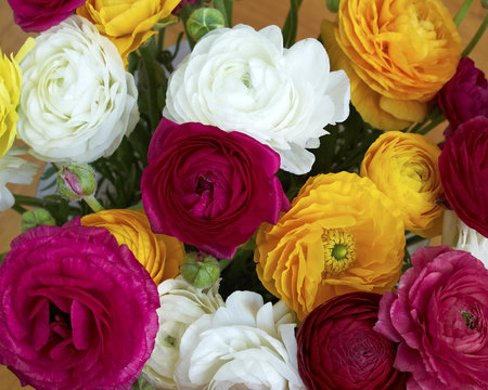 colorful buttercups bouquet, natural background