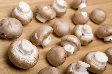Mushroon on board