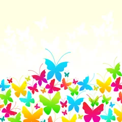 Crédence de cuisine en verre imprimé Papillon Beaux papillons d& 39 été