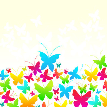 Beautiful summer butterflies