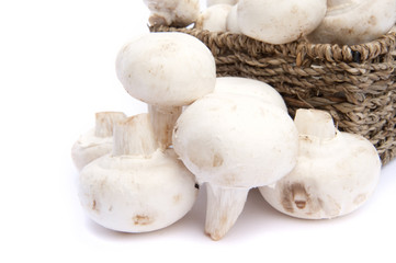 Fresh champignon mushrooms in rustic basket isolated on white