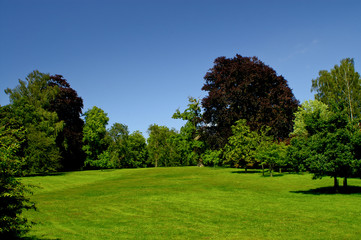 Fototapeta na wymiar Ładny ogród w Blenheim Palace w Woodstock (Wielka Brytania)