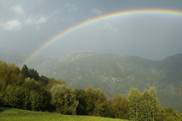 rainbow