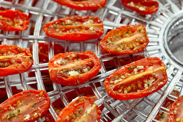 sundried cherry tomatoes on food dehydrator tray, shallow dog