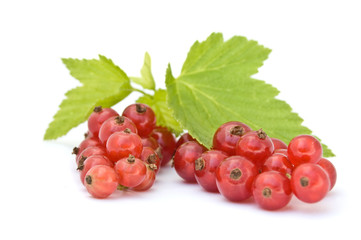 Isolated red currant