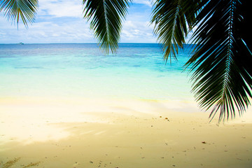 Obraz na płótnie Canvas View Palm Vacation
