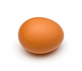 Egg