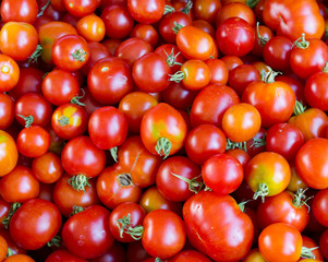 Fresh tomatoes on display at the farmer's market