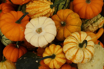 Pumpkins