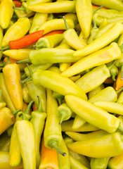 Hungarian wax or hot banana peppers on display