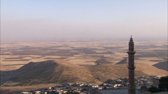 WS of arabic town with mosque, birds