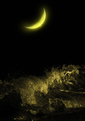 half moon over the sea at night