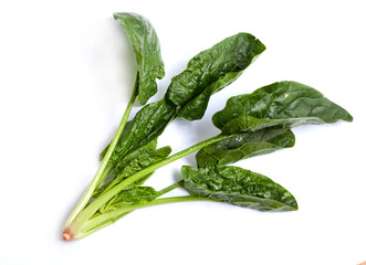 Spinach