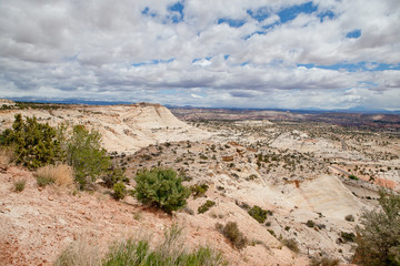 Landscape in Utah