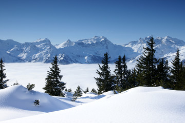 Winterlandschaft