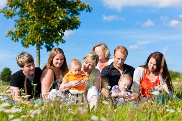 Family and multi-generation - fun on meadow in summer