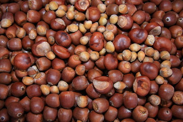 Kastanien und Eicheln