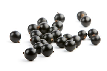 Black currant on a white background