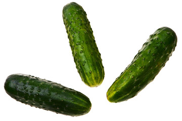 Three fresh ripe cucumbers isolated over white background.