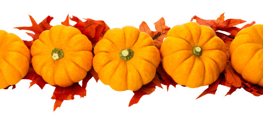 Fall or Thanksgiving or Halloween decoration isolated on white