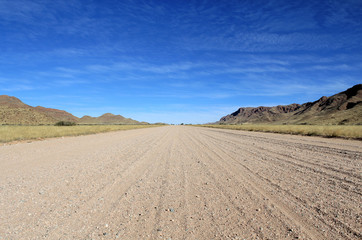 Fototapeta na wymiar Trawiasta Savannah z górami w tle, Namib desert road