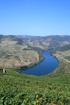 Vall&eacute;e du Douro