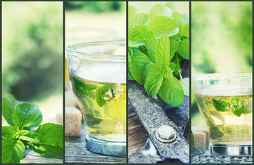 Mint tea collage