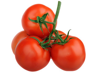 tomatoes branch