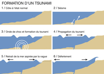 Schema_Formation_Stunami