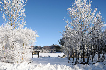 Auvergne sous la neige