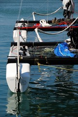 Catamarani