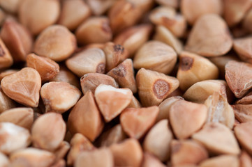 buckwheat texture