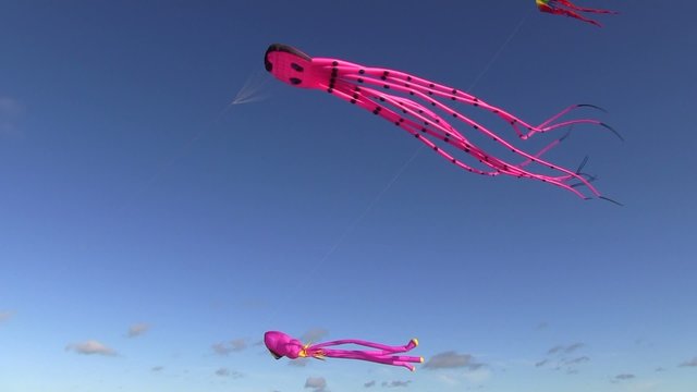pieuvres en plein ciel