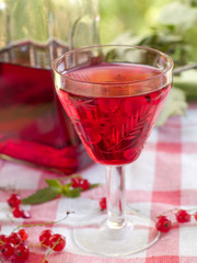 wine