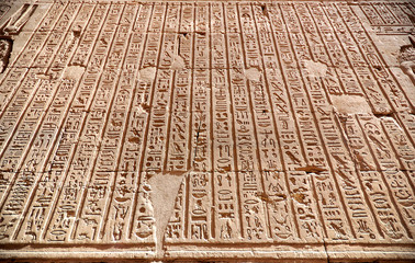 Hierogliphic scripts
