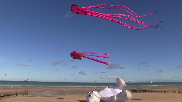cerfs-volant,kite