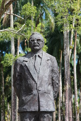 Suriname - Palmentuin